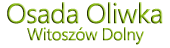 Osada Oliwka Witoszów Dolny – domy Świdnica